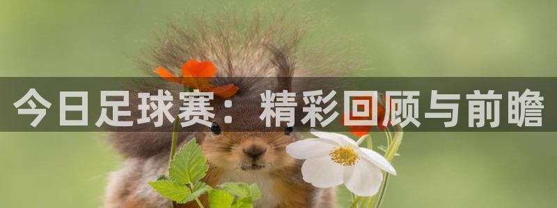 vsport体育官网：今日足球赛：精彩回顾与前瞻