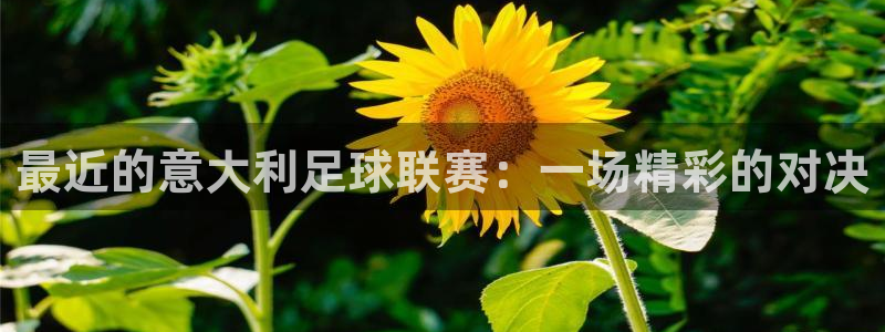 vSport体育在线登录平台：最近的意大利足球联赛：一场精彩