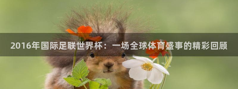 vsport体育平台app下载安装免费：2016年国际足联世