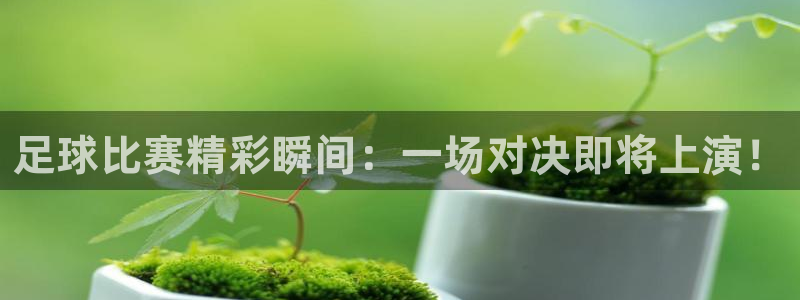  vsport体育平台app下载安装免费：足球比赛精彩瞬间：一