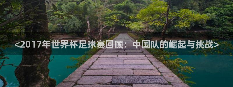 vSport体育在线登录平台：<2017年世界杯足球赛回顾：