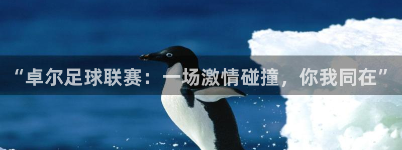  哈哈体育体育平台-胜利因您更精彩：“卓尔足球联赛：一场激情碰