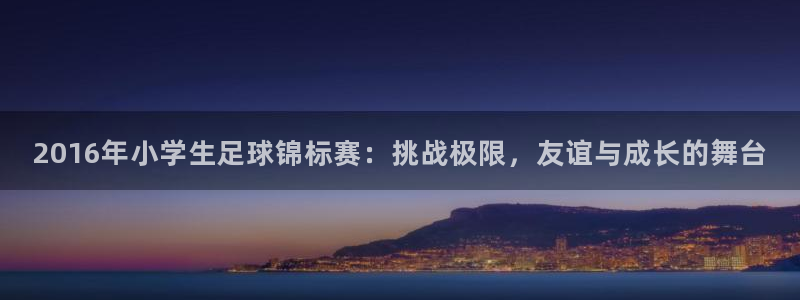  vsport体育平台：2016年小学生足球锦标赛：挑战极限，