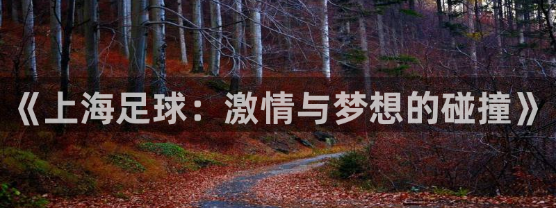  vSport体育在线登录平台：《上海足球：激情与梦想的碰撞》